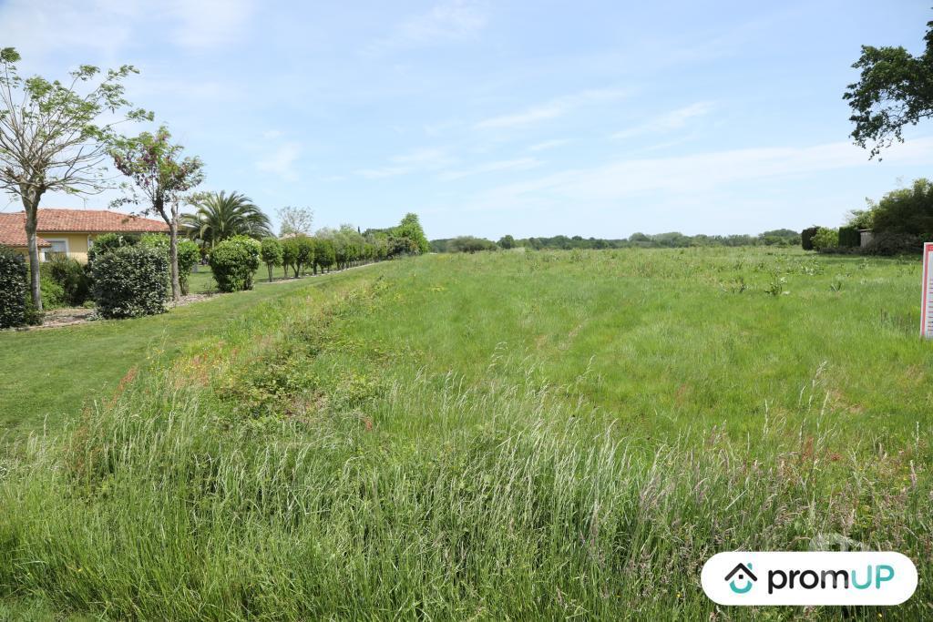 Terrain à vendre Landes Arsague - 40330 - Photos Vivastreet (V5755) Terrain constructible de 3 445 m2 à Arsague