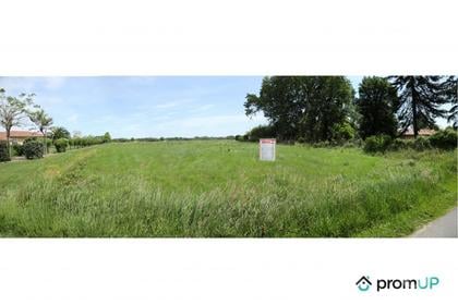 Vente Terrain Arsague Landes - Photos Vivastreet (V5755) Terrain constructible de 3 445 m2 à Arsague