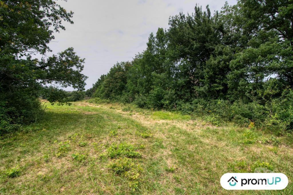 Terrain à vendre Haute-Garonne Mons - 31280 - Photos Vivastreet (V6083) Terrain de 7103m2 situé à MONS