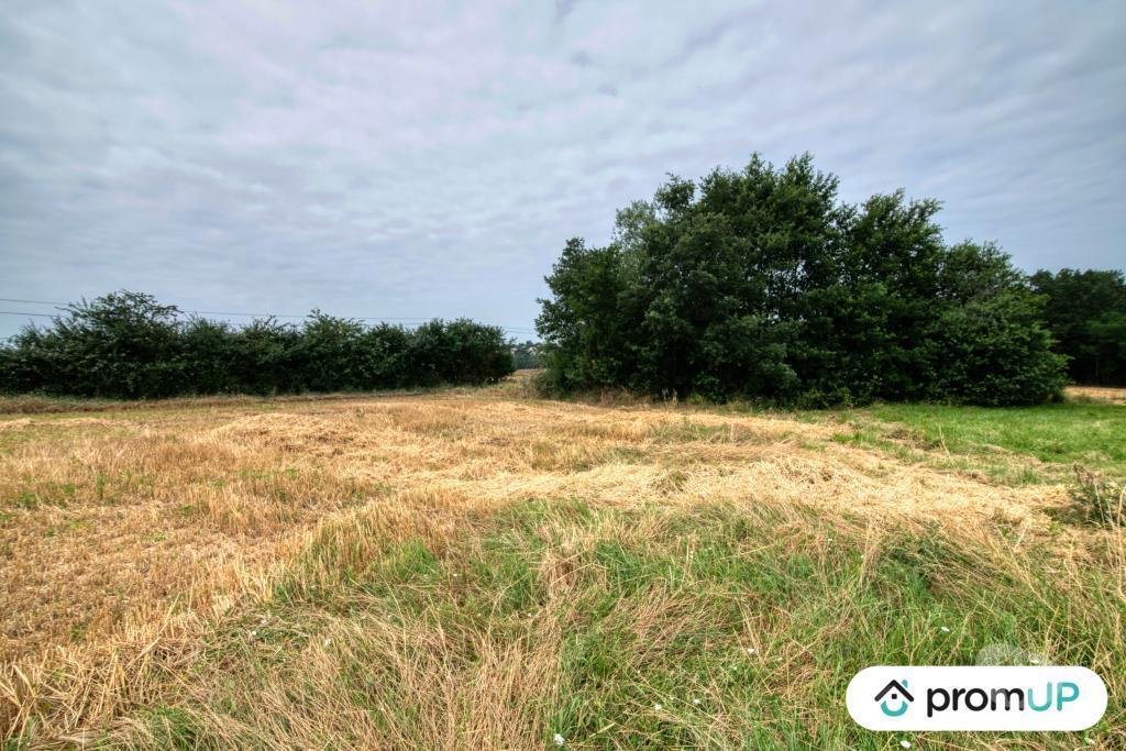 Terrain à vendre Haute-Garonne Mons - 31280 - Photos Vivastreet (V6083) Terrain de 7103m2 situé à MONS