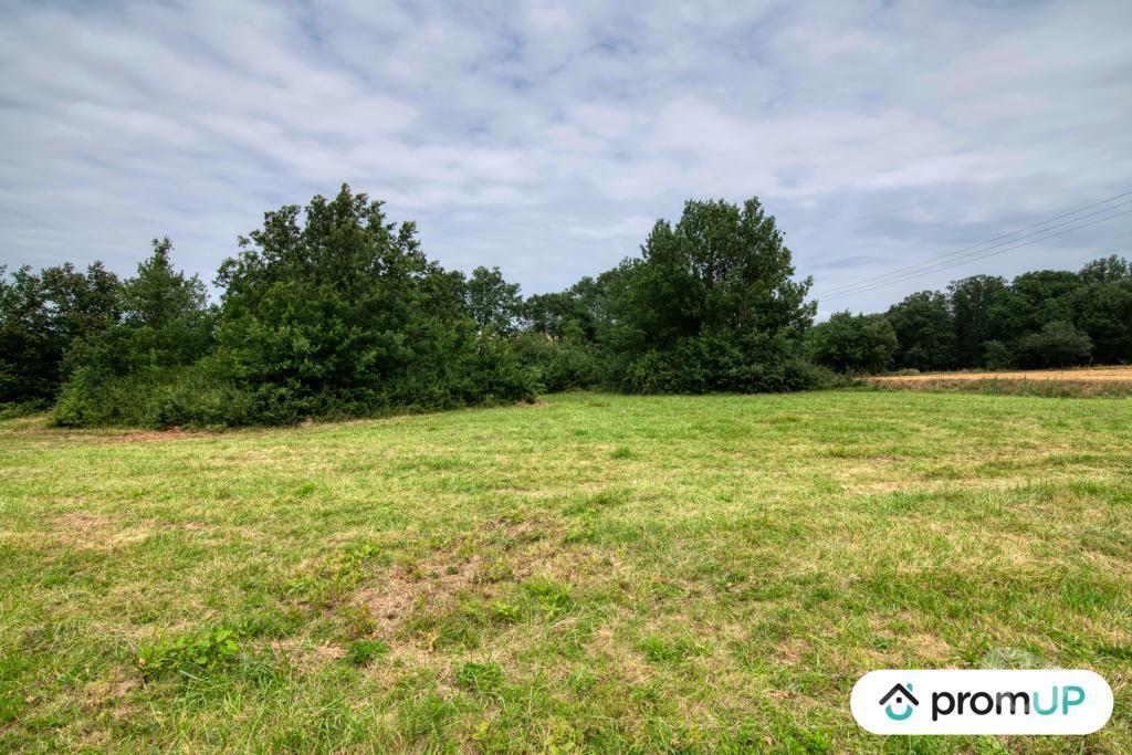 Terrain à vendre Haute-Garonne Mons - 31280 - Photos Vivastreet (V6083) Terrain de 7103m2 situé à MONS
