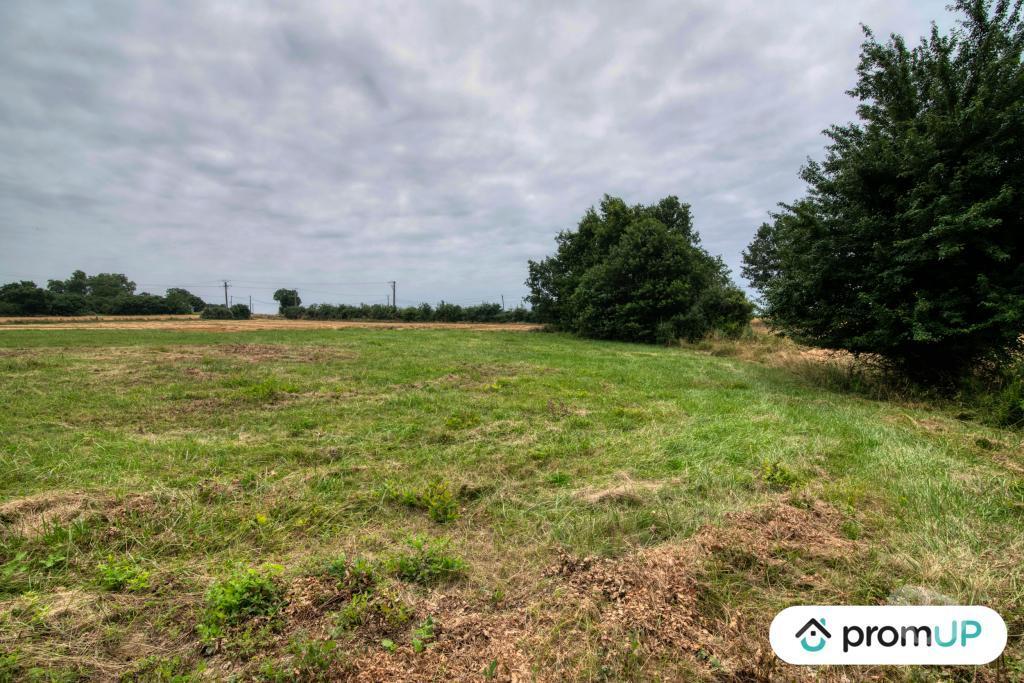 Terrain à vendre Haute-Garonne Mons - 31280 - Photos Vivastreet (V6083) Terrain de 7103m2 situé à MONS