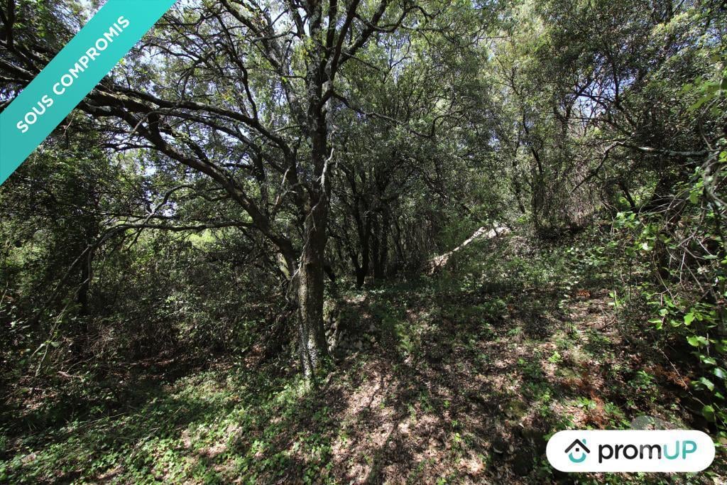 Terrain à vendre Var Chateaudouble - 83300 - Photos Vivastreet (V6080) Terrain de loisir à Châteaudouble