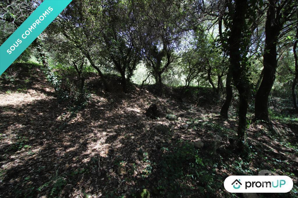 Terrain à vendre Var Chateaudouble - 83300 - Photos Vivastreet (V6080) Terrain de loisir à Châteaudouble
