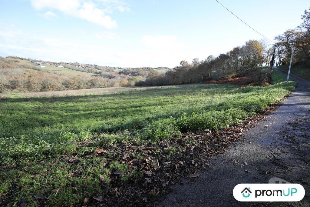 Terrain à vendre Pyrénées-Atlantiques Casteide Cami - 64170 - Photos Vivastreet (V4987) Terrain constructible de 1620m2 à Casteide-Cami