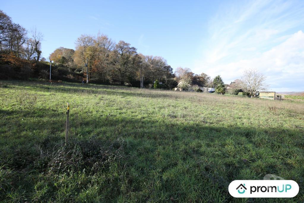 Terrain à vendre Pyrénées-Atlantiques Casteide Cami - 64170 - Photos Vivastreet (V4987) Terrain constructible de 1620m2 à Casteide-Cami