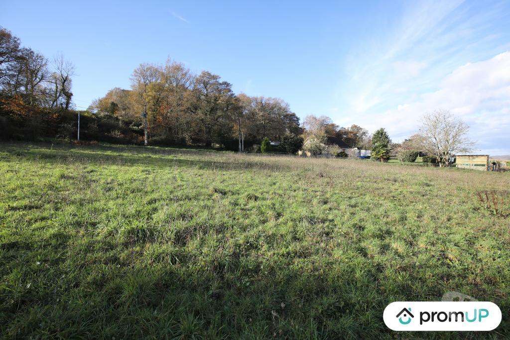Terrain à vendre Pyrénées-Atlantiques Casteide Cami - 64170 - Photos Vivastreet (V4987) Terrain constructible de 1620m2 à Casteide-Cami