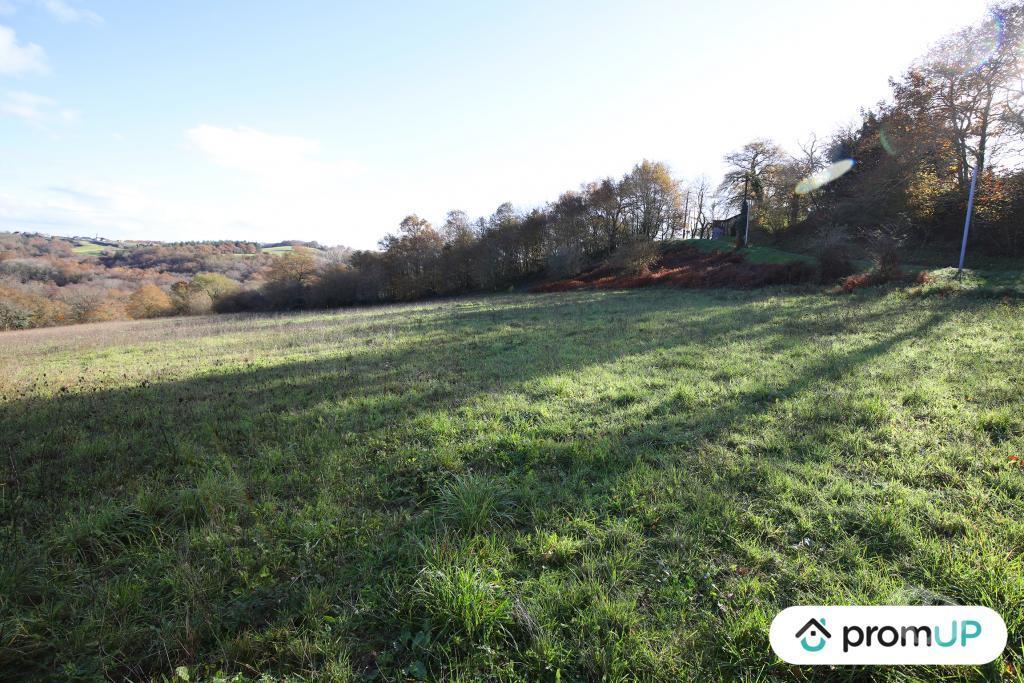 Terrain à vendre Pyrénées-Atlantiques Casteide Cami - 64170 - Photos Vivastreet (V4987) Terrain constructible de 1620m2 à Casteide-Cami