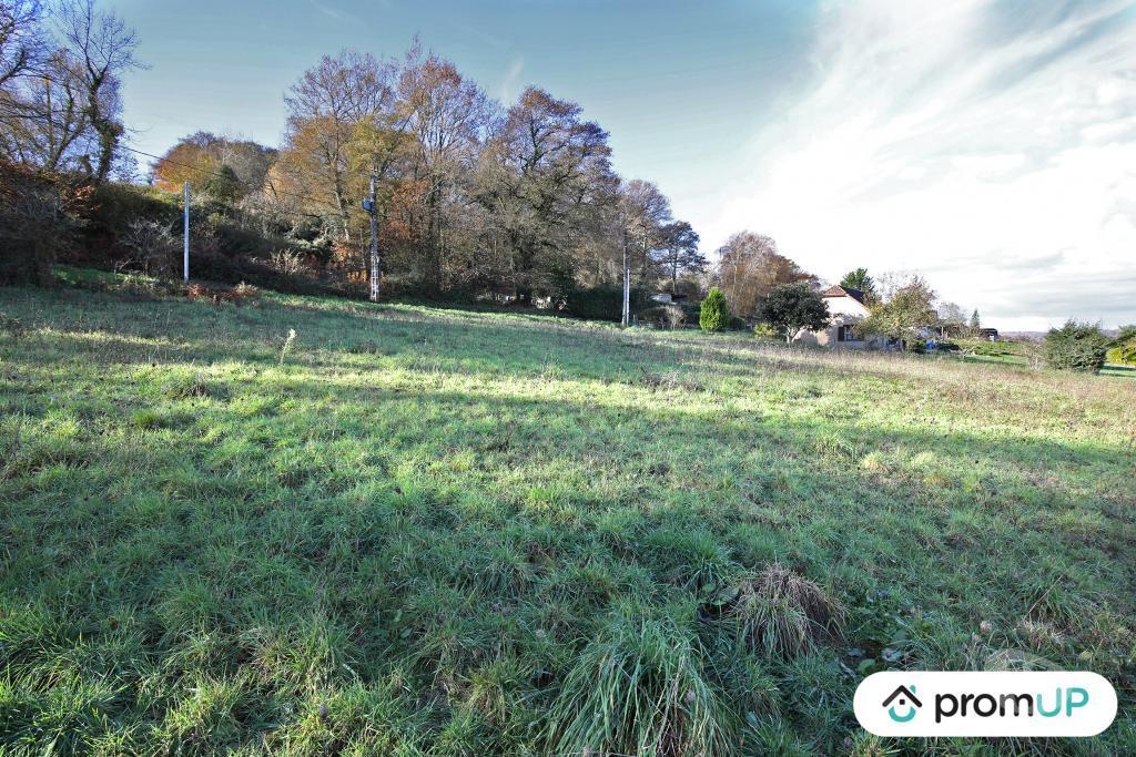 Terrain à vendre Pyrénées-Atlantiques Casteide Cami - 64170 - Photos Vivastreet (V4987) Terrain constructible de 1620m2 à Casteide-Cami