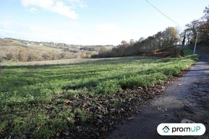 Terrain à vendre Casteide Cami Pyrénées-Atlantiques - Photos Vivastreet (V4987) Terrain constructible de 1620m2 à Casteide-Cami