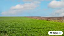 (V5592) Terrain constructible de 1 650 m2 à Éméville