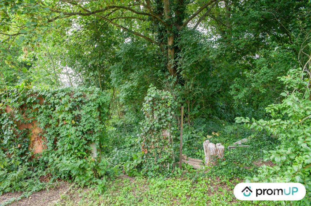 Terrain à vendre Somme Buire Courcelles - 80200 - Photos Vivastreet (V6078) Terrain constructible de 7000m2 situé à BUIRE-COURCELLES