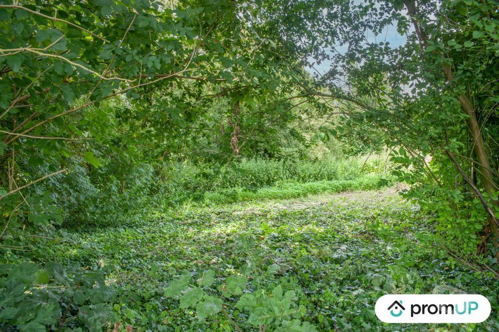 Terrain à vendre Somme Buire Courcelles - 80200 - Photos Vivastreet (V6078) Terrain constructible de 7000m2 situé à BUIRE-COURCELLES