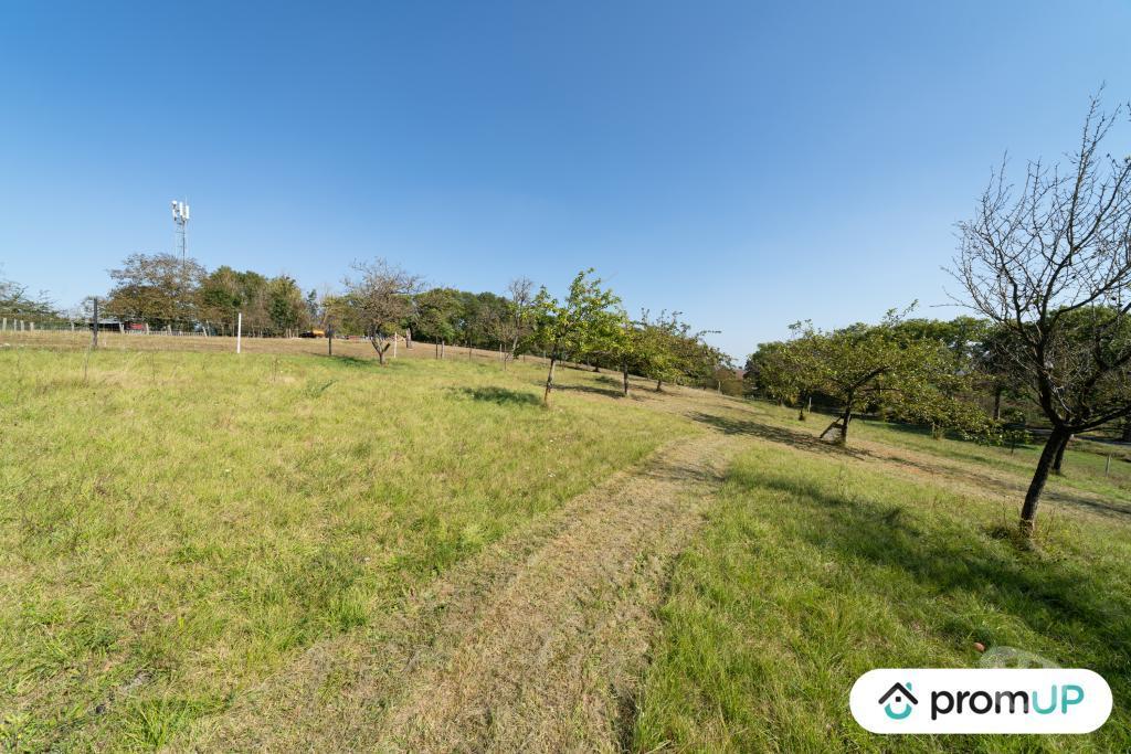 Terrain à vendre Meurthe-et-Moselle Valhey - 54370 - Photos Vivastreet (VT1041) TERRAIN CONSTRUCTIBLE à VENDRE à VALHEY