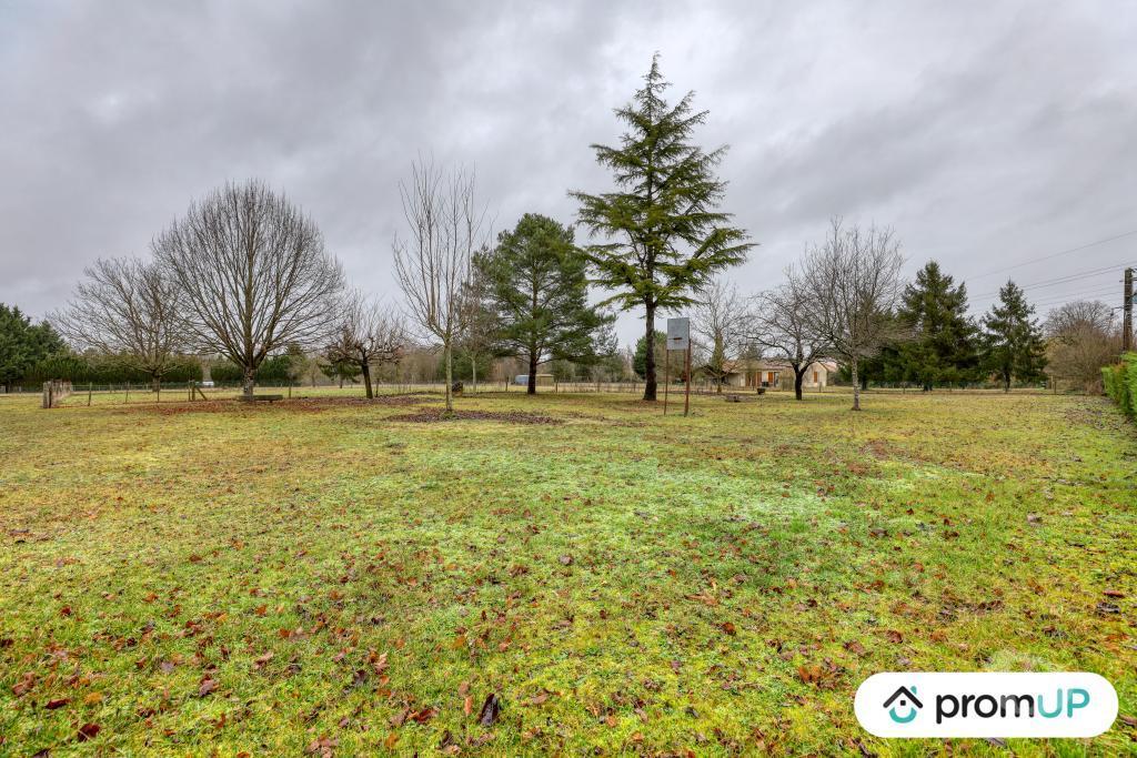 Terrain à vendre Vienne Montmorillon - 86500 - Photos Vivastreet (VT1163) Grand terrain constructible à Montmorillon (86, Vienne)
