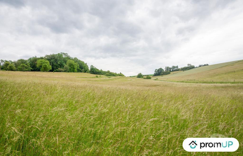 Terrain à vendre Ardennes Prez - 08290 - Photos Vivastreet (VT432) Terrain constructible de 1356m2