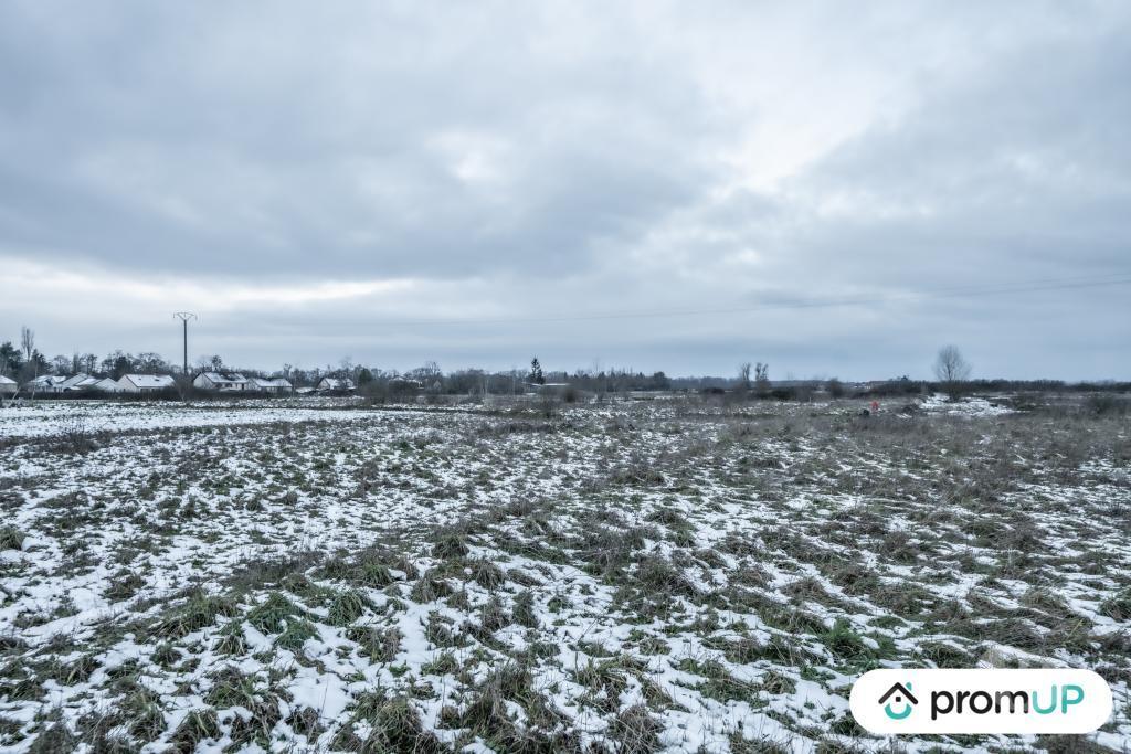 Terrain à vendre Allier Gannay sur Loire - 03230 - Photos Vivastreet (V5140) Terrains constructible de 50 000 m² situé à...