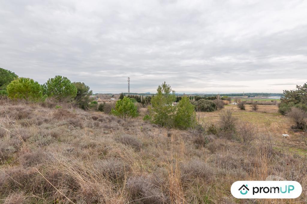 Terrain à vendre Hérault Lunel Viel - 34400 - Photos Vivastreet (V5428) Terrain agricole de 10 610m2 à Lunel -Viel