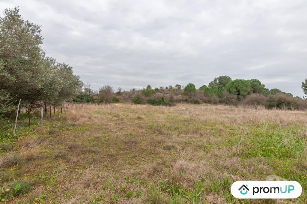 Terrain à vendre Hérault Lunel Viel - 34400 - Photos Vivastreet (V5428) Terrain agricole de 10 610m2 à Lunel -Viel