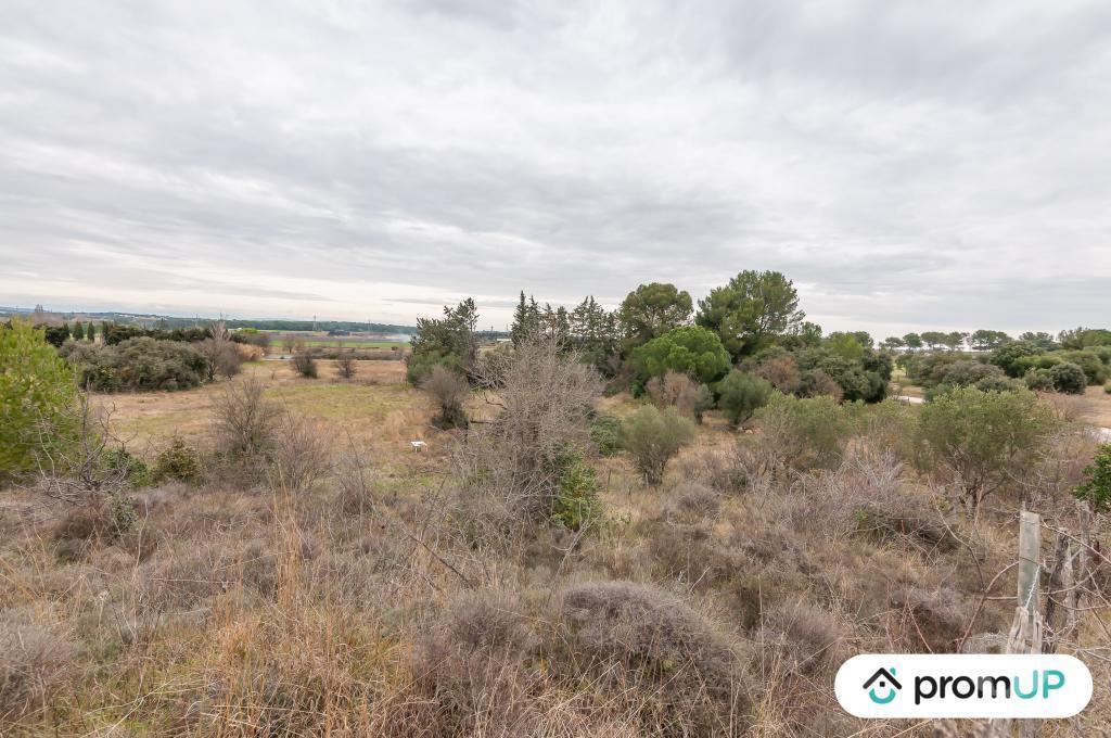 Terrain à vendre Hérault Lunel Viel - 34400 - Photos Vivastreet (V5428) Terrain agricole de 10 610m2 à Lunel -Viel