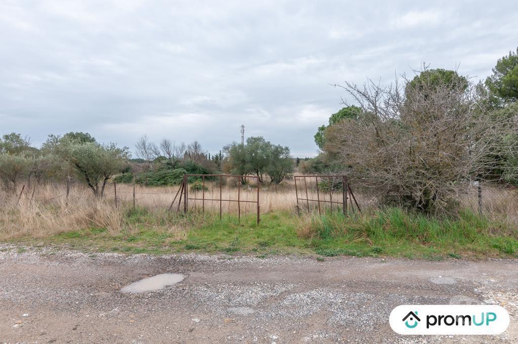 Terrain à vendre Hérault Lunel Viel - 34400 - Photos Vivastreet (V5428) Terrain agricole de 10 610m2 à Lunel -Viel