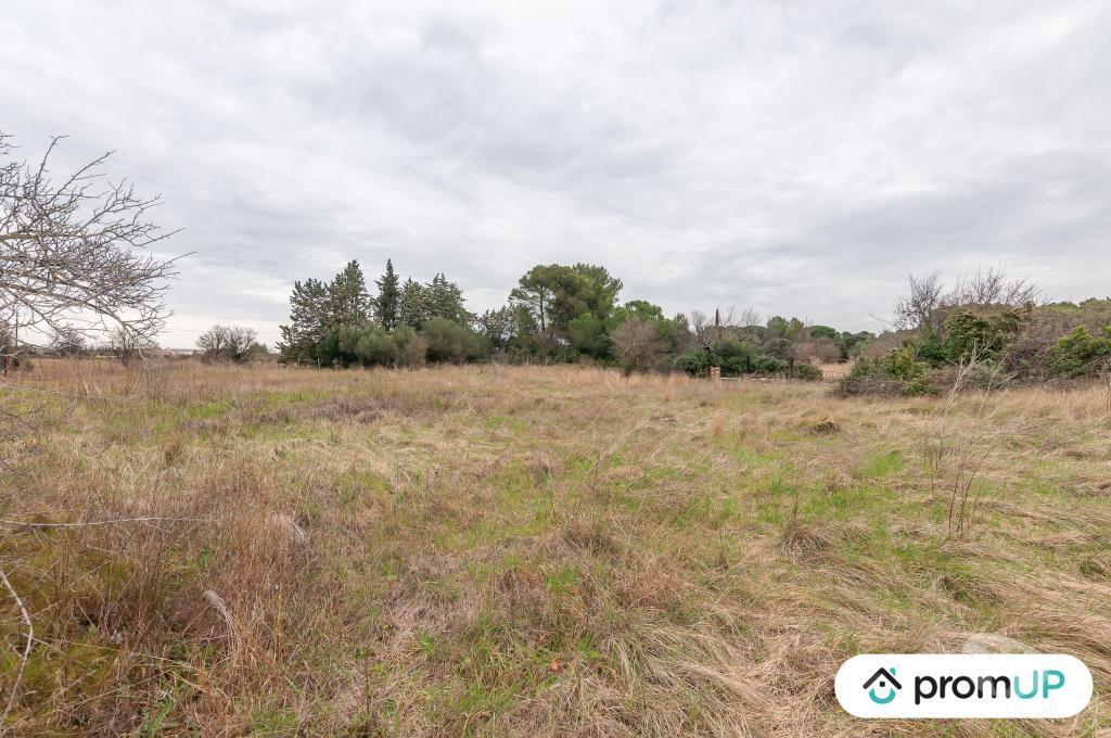 Terrain à vendre Hérault Lunel Viel - 34400 - Photos Vivastreet (V5428) Terrain agricole de 10 610m2 à Lunel -Viel