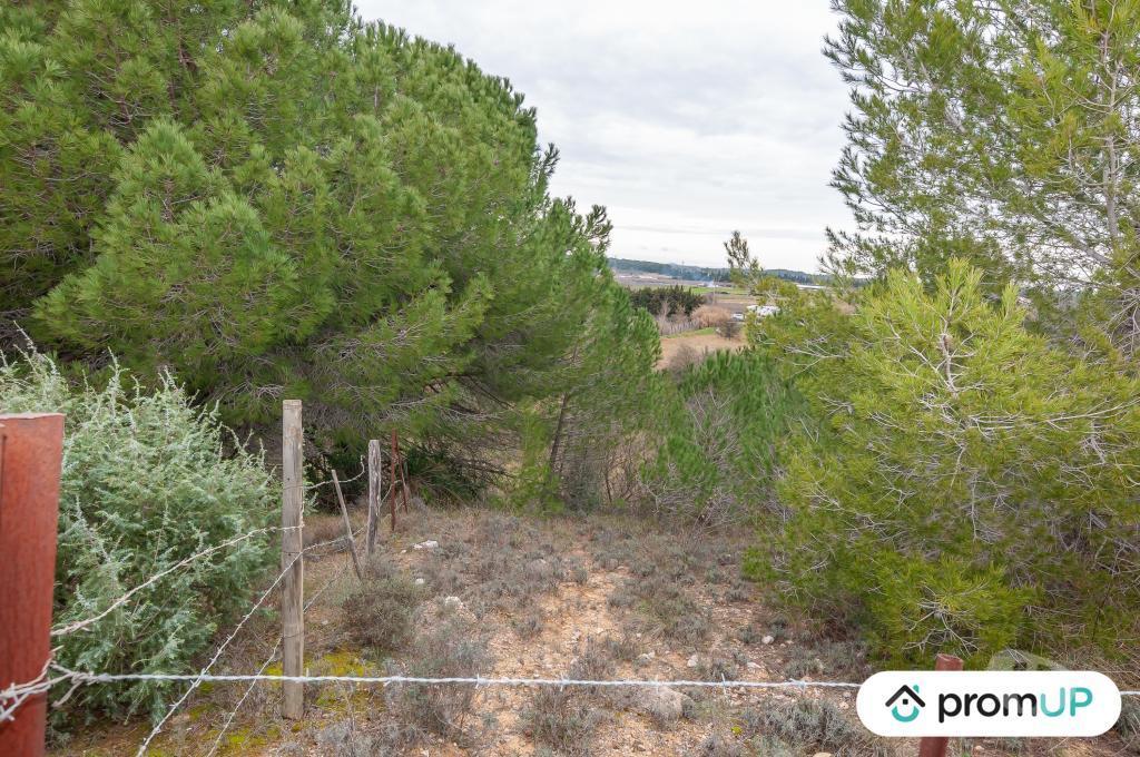 Terrain à vendre Hérault Lunel Viel - 34400 - Photos Vivastreet (V5428) Terrain agricole de 10 610m2 à Lunel -Viel