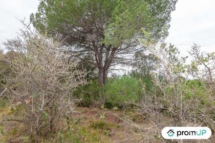 Terrain à vendre Lunel Viel Hérault - Photos Vivastreet (V5428) Terrain agricole de 10 610m2 à Lunel -Viel
