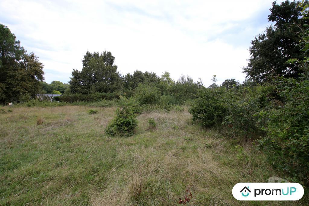 Terrain à vendre Landes Aureilhan - 40200 - Photos Vivastreet (V6214) Terrain constructible de 689 m2 à AUREILHAN