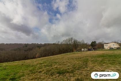 Terrain à vendre Peyzac le Moustier Dordogne - Photos Vivastreet (VT314) Terrain constructible de 3 000 m²