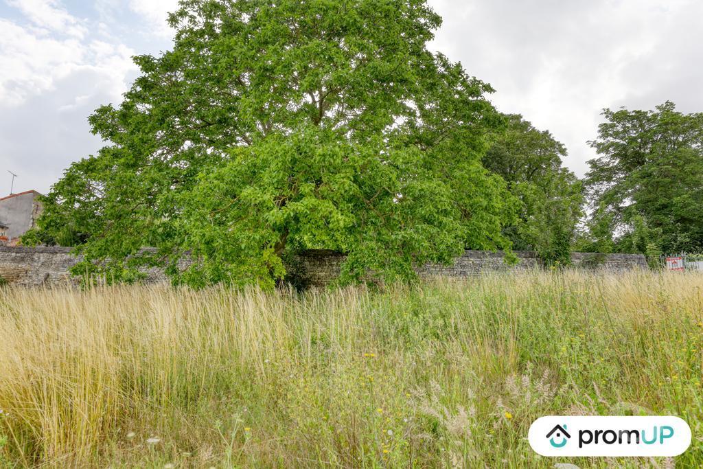 Terrain à vendre Vienne Mirebeau - Photos Vivastreet (VT914) Terrain constructible de 1800m² situé à Mirebeau