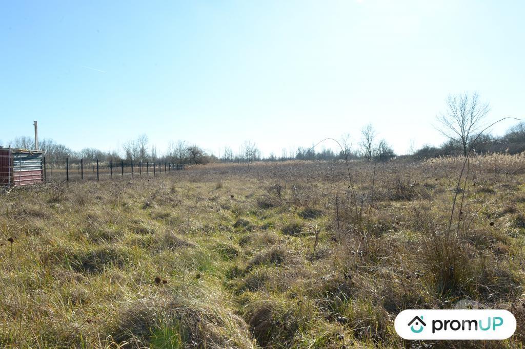 Terrain à vendre Gironde Ambares et Lagrave - 33440 - Photos Vivastreet (V5319) Terrain NON constructible de 1352 m2 à Ambares