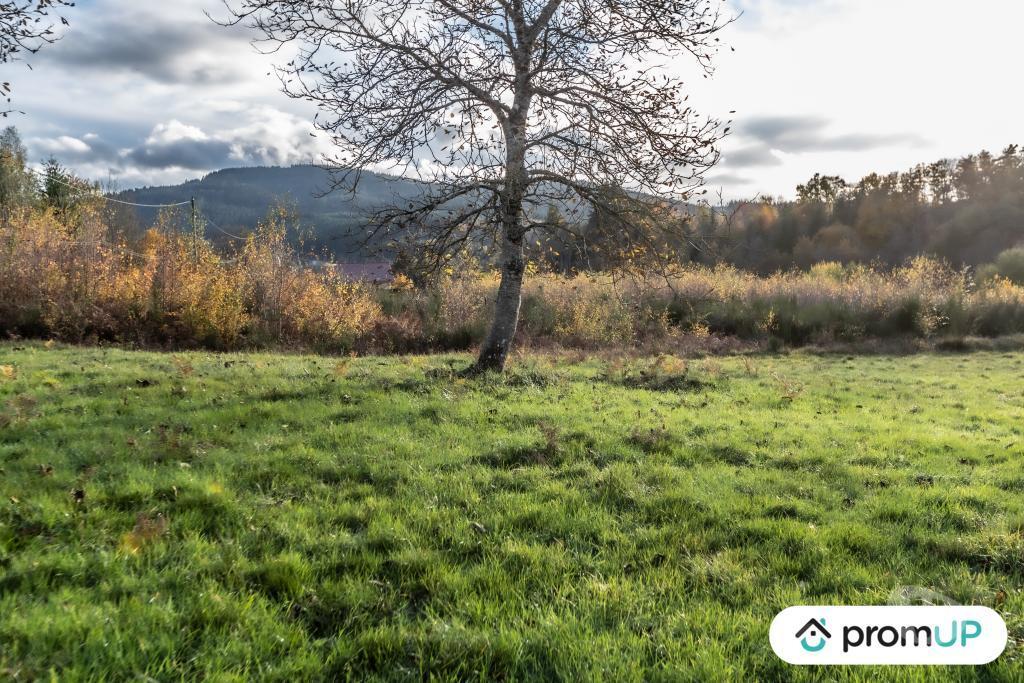 Terrain à vendre Puy-de-Dôme Chabreloche - Photos Vivastreet (V4905) Grand terrain constructible, divisible et piscinable,...