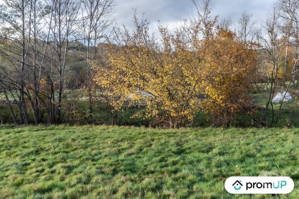 Terrain à vendre Puy-de-Dôme Chabreloche - Photos Vivastreet (V4905) Grand terrain constructible, divisible et piscinable,...
