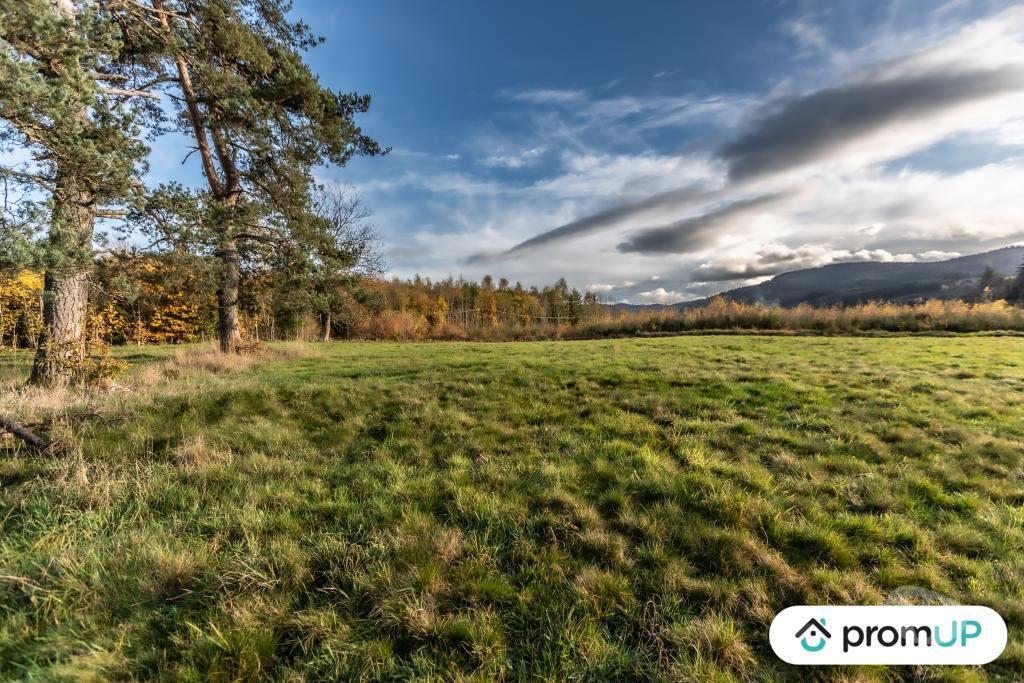 Terrain à vendre Puy-de-Dôme Chabreloche - Photos Vivastreet (V4905) Grand terrain constructible, divisible et piscinable,...