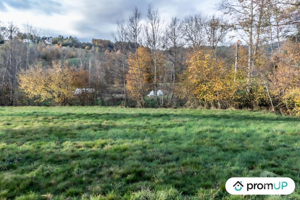 Terrain à vendre Puy-de-Dôme Chabreloche - Photos Vivastreet (V4905) Grand terrain constructible, divisible et piscinable,...