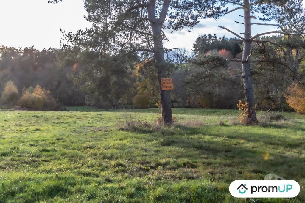 Terrain à vendre Puy-de-Dôme Chabreloche - Photos Vivastreet (V4905) Grand terrain constructible, divisible et piscinable,...