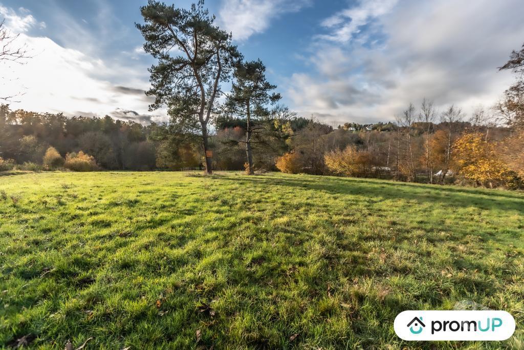 Terrain à vendre Puy-de-Dôme Chabreloche - Photos Vivastreet (V4905) Grand terrain constructible, divisible et piscinable,...