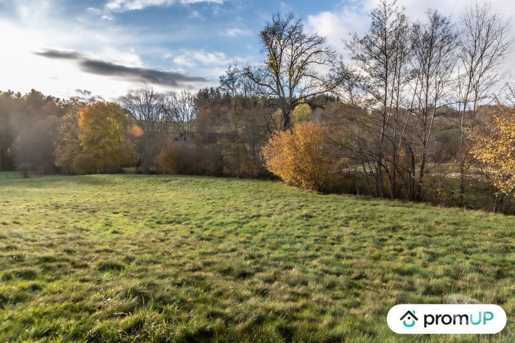 Terrain à vendre Puy-de-Dôme Chabreloche - Photos Vivastreet (V4905) Grand terrain constructible, divisible et piscinable,...
