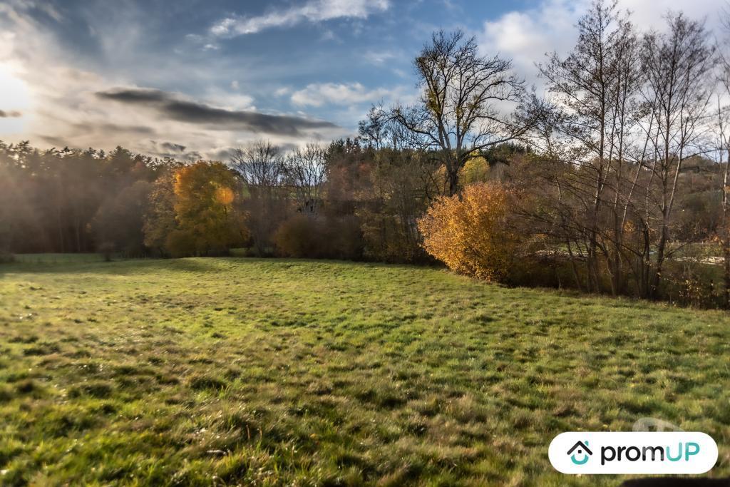 Terrain à vendre Puy-de-Dôme Chabreloche - Photos Vivastreet (V4905) Grand terrain constructible, divisible et piscinable,...
