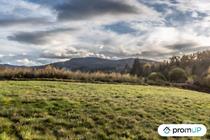 (V4905) Grand terrain constructible, divisible et piscinable,...