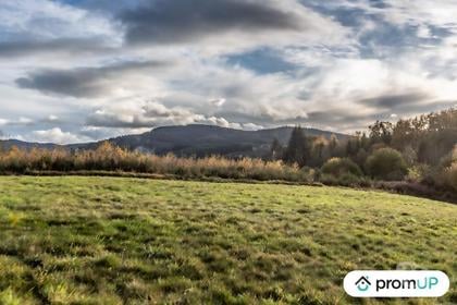 Vente Terrain Chabreloche Chabreloche - Photos Vivastreet (V4905) Grand terrain constructible, divisible et piscinable,...