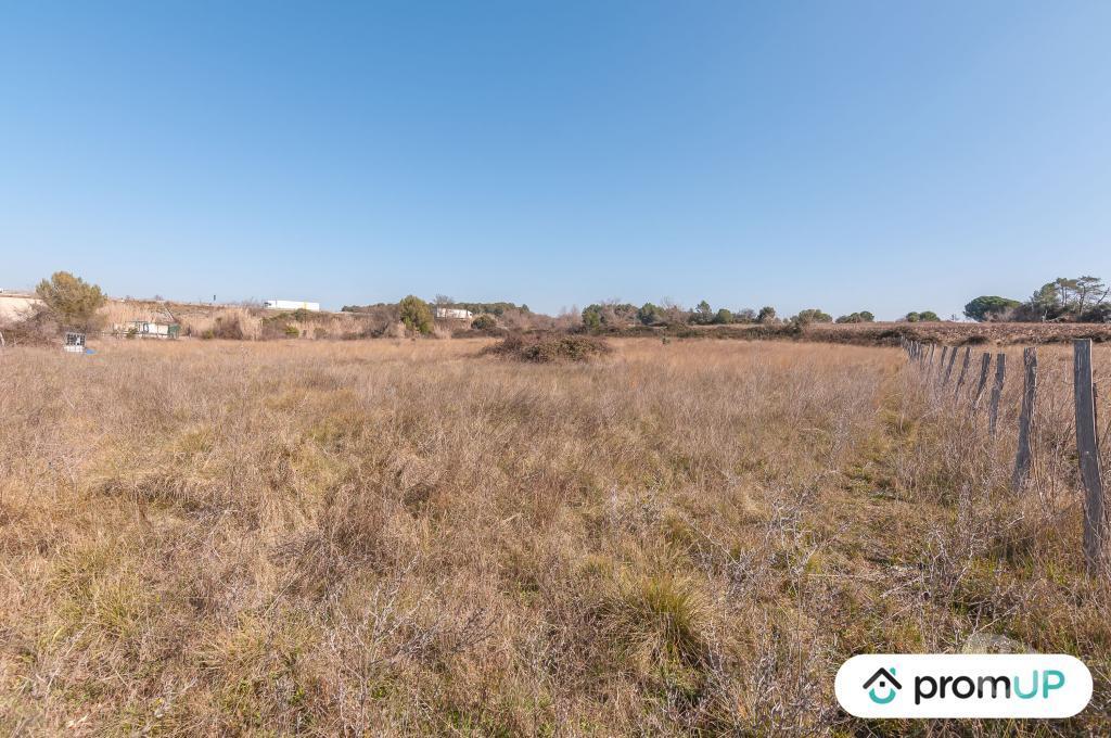 Terrain à vendre Hérault Lunel Viel - 34400 - Photos Vivastreet (V5431) Terrain agricole de 5 000 m2 à Lunel-Viel
