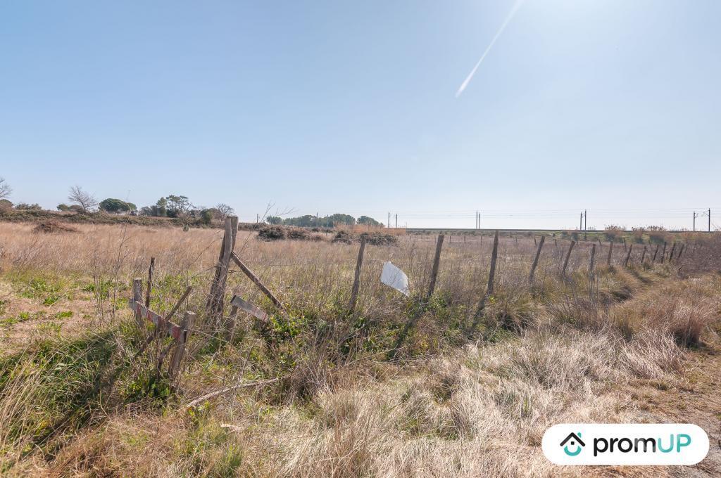 Terrain à vendre Hérault Lunel Viel - 34400 - Photos Vivastreet (V5431) Terrain agricole de 5 000 m2 à Lunel-Viel