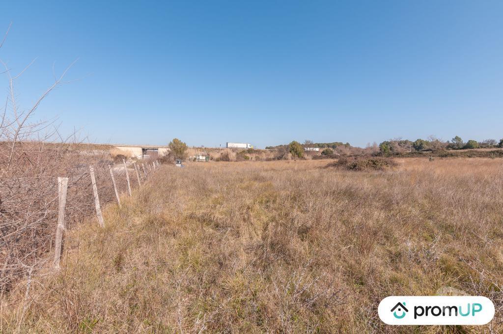 Terrain à vendre Hérault Lunel Viel - 34400 - Photos Vivastreet (V5431) Terrain agricole de 5 000 m2 à Lunel-Viel