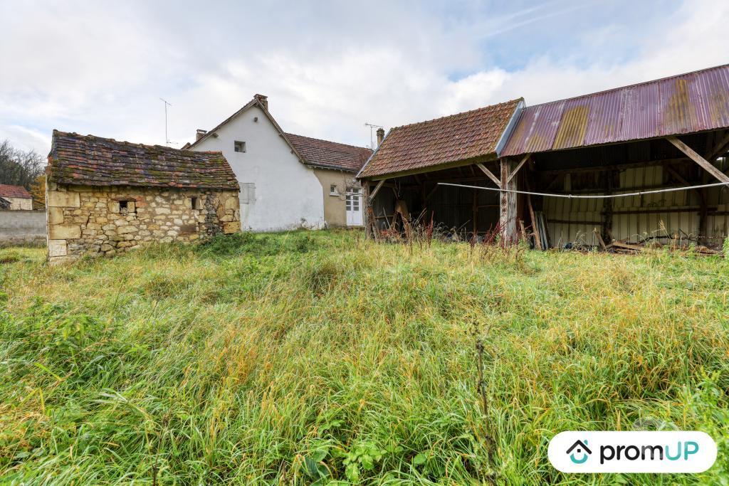 Vente Maison Indre Villentrois - 36600 - Photos Vivastreet (VM3894) Maison style ferme avec grand terrain en Indre