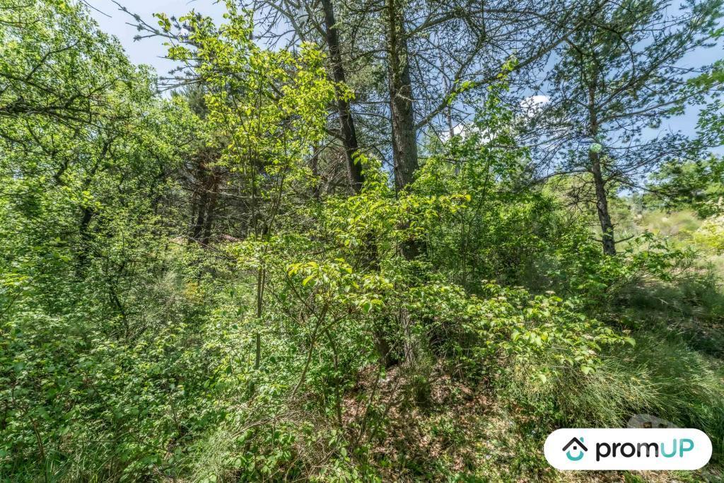 Terrain à vendre Alpes-de-Haute-Provence Estoublon - Photos Vivastreet (V5749) Terrain constructible de 1910 m2 à Estoublon