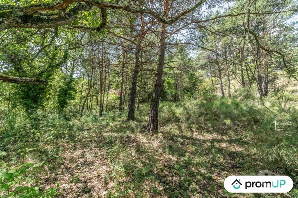 Terrain à vendre Alpes-de-Haute-Provence Estoublon - Photos Vivastreet (V5749) Terrain constructible de 1910 m2 à Estoublon