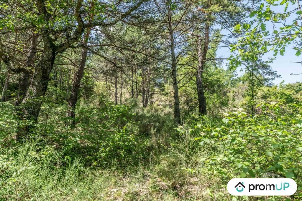 Terrain à vendre Alpes-de-Haute-Provence Estoublon - Photos Vivastreet (V5749) Terrain constructible de 1910 m2 à Estoublon