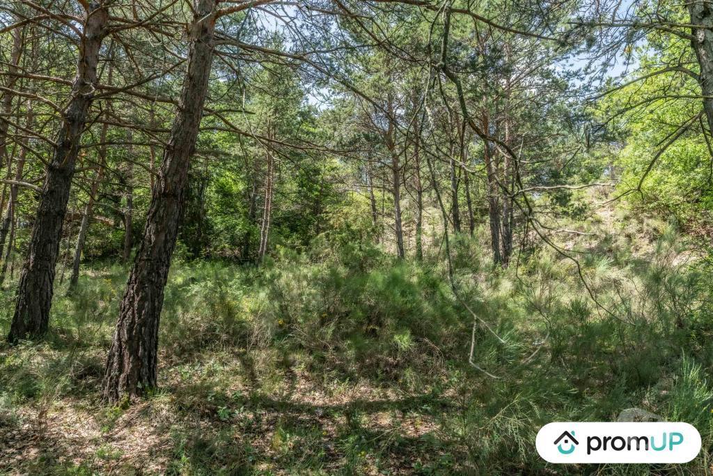 Terrain à vendre Alpes-de-Haute-Provence Estoublon - Photos Vivastreet (V5749) Terrain constructible de 1910 m2 à Estoublon